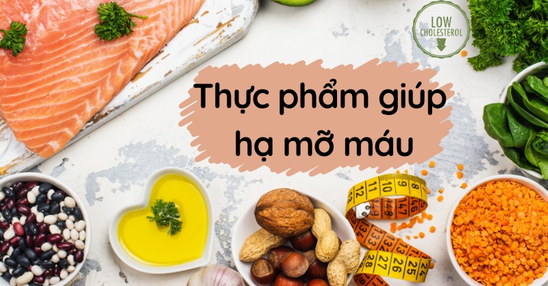 Những thực phẩm giúp hạ mỡ máu hiệu quả